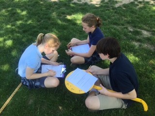 Using Proportions of a Student's Height, Their Shadow, and the Tree's Shadow to Calculate the Tree's Height 